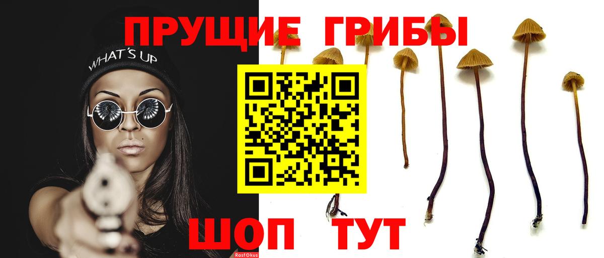 Галлюциногенные грибы MAGIC MUSHROOMS Новороссийск