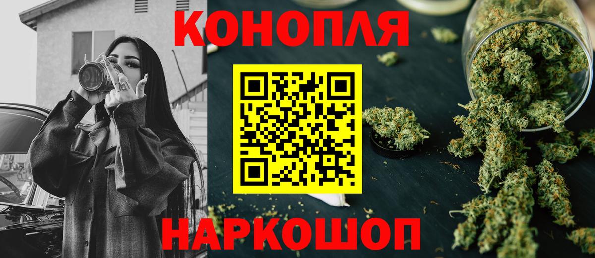 МАРИХУАНА конопля Новороссийск